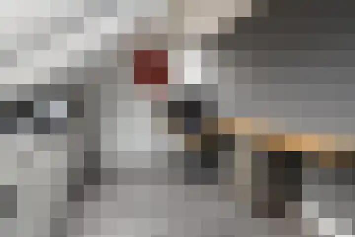 Weidelanden 2 A Lemelerveld thumbnail 14