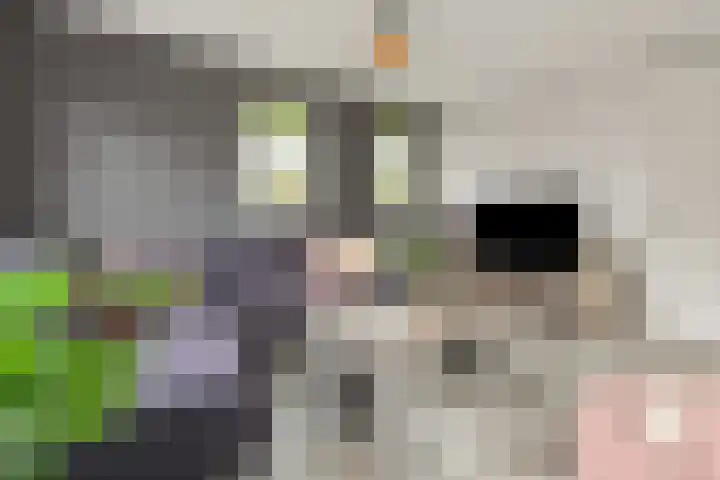 Weidelanden 2 A Lemelerveld thumbnail 5
