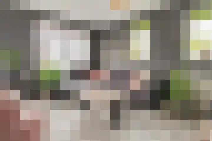 Weidelanden 2 A Lemelerveld thumbnail 6