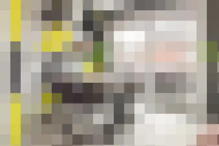 Weidelanden 2 A Lemelerveld thumbnail 7
