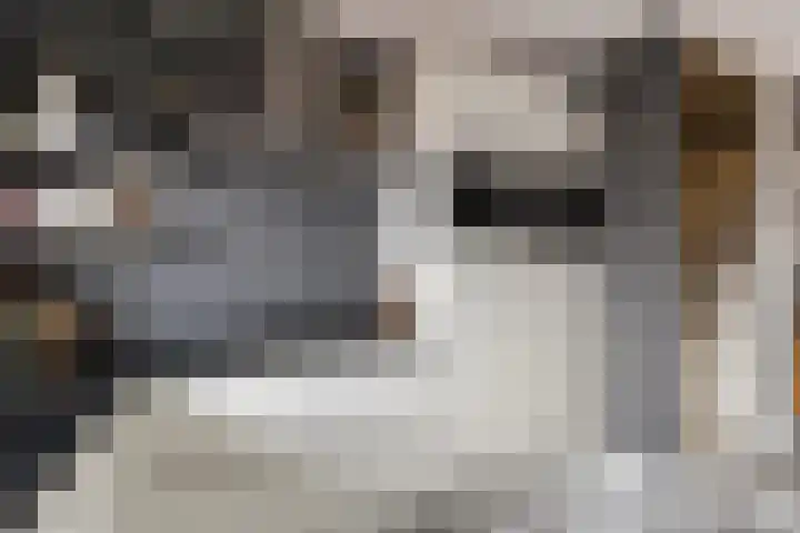 Weidelanden 2 A Lemelerveld thumbnail 9