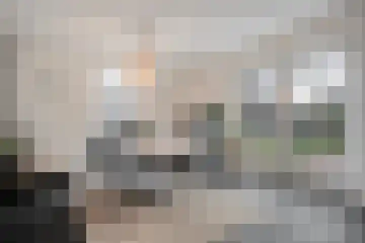 Weidelint 32 Nijeveen thumbnail 22