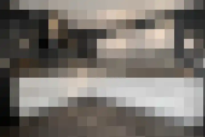 Weidelint 32 Nijeveen thumbnail 23