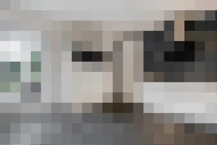 Weidelint 32 Nijeveen thumbnail 24