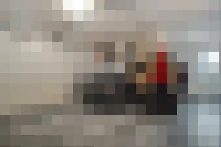 Weidelint 32 Nijeveen thumbnail 28