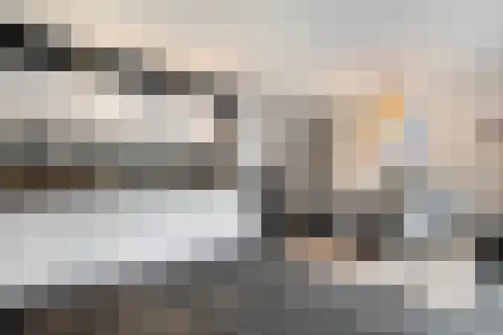 Weidelint 32 Nijeveen thumbnail 4