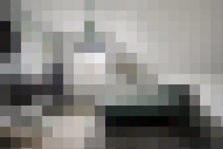 Weidelint 32 Nijeveen thumbnail 41