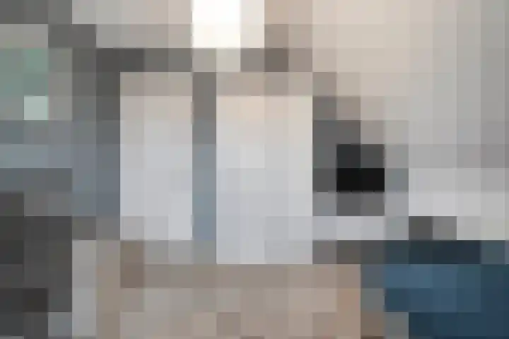 Weidelint 32 Nijeveen thumbnail 44