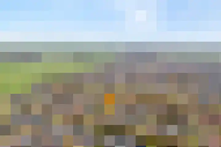 Weidelint 32 Nijeveen thumbnail 5