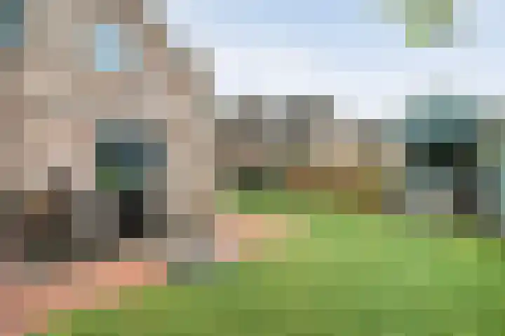 Weidelint 32 Nijeveen thumbnail 50