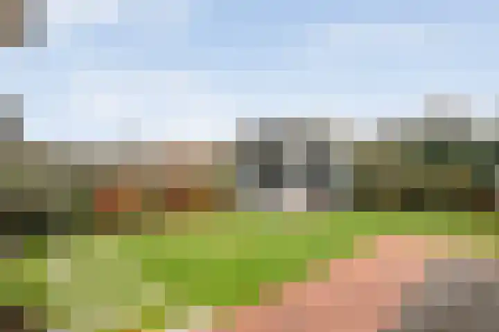 Weidelint 32 Nijeveen thumbnail 52