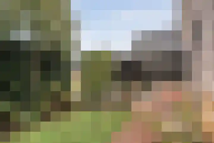 Weidelint 32 Nijeveen thumbnail 55