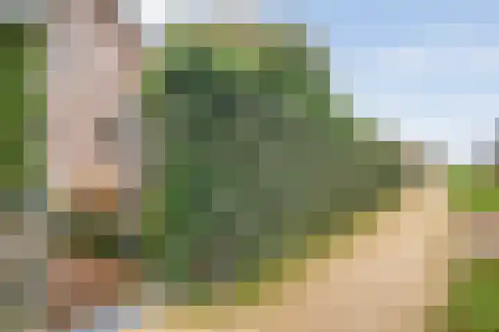 Weidelint 32 Nijeveen thumbnail 56