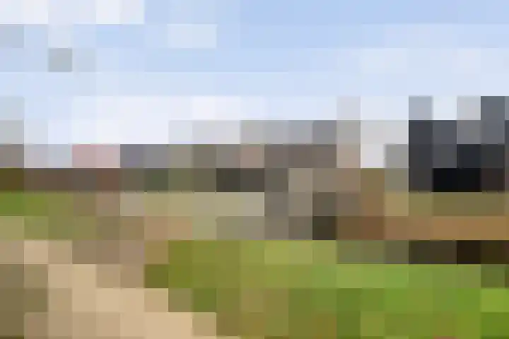Weidelint 32 Nijeveen thumbnail 57