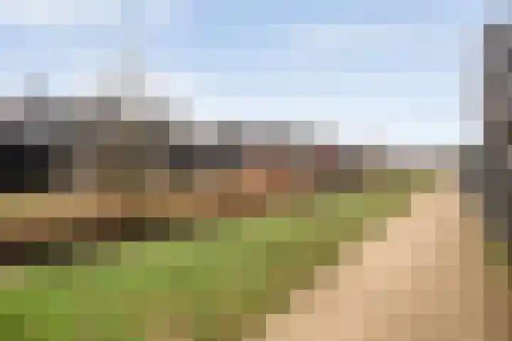 Weidelint 32 Nijeveen thumbnail 58