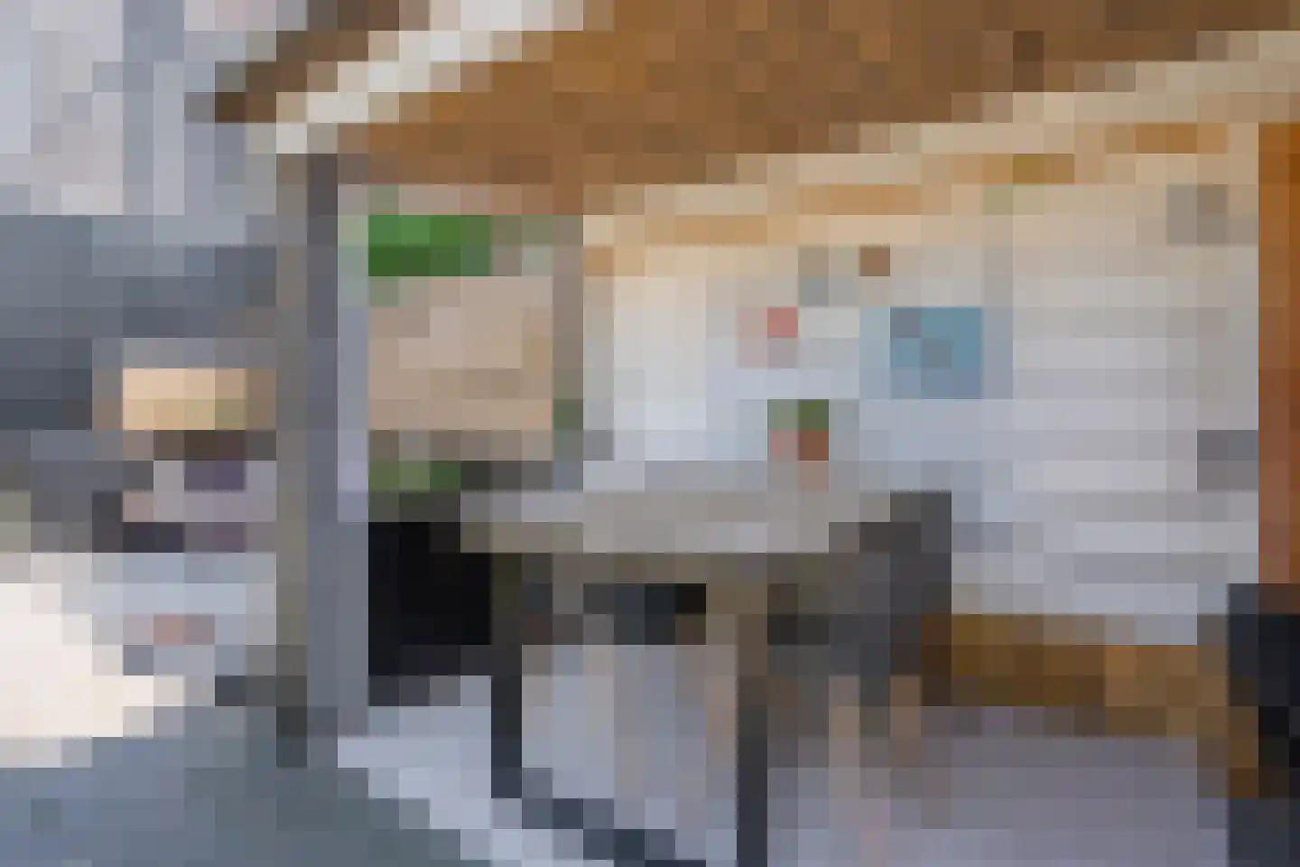 Weidelint 38 Nijeveen thumbnail 34