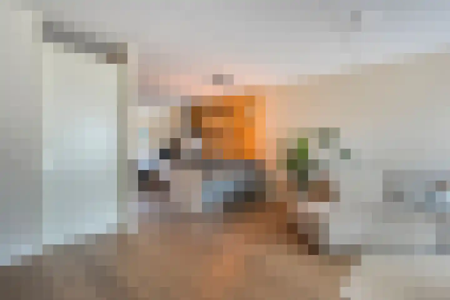 Weidelint 38 Nijeveen thumbnail 8