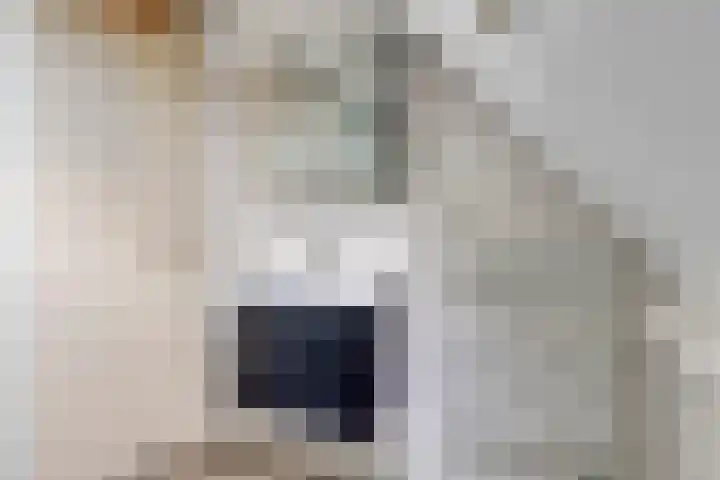 Weidemaad 126 Oosterwolde thumbnail 12