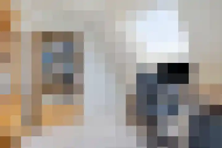 Weidemaad 126 Oosterwolde thumbnail 14