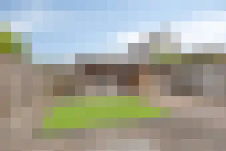 Weidemaad 126 Oosterwolde thumbnail 20