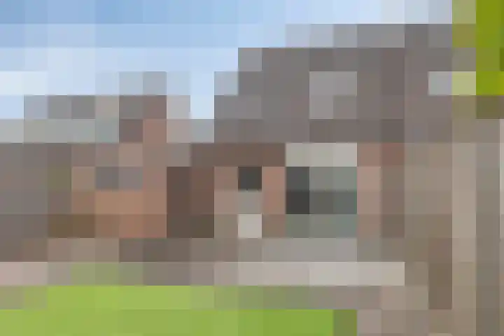 Weidemaad 126 Oosterwolde thumbnail 21