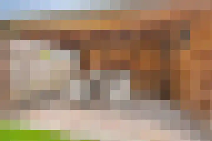 Weidemaad 126 Oosterwolde thumbnail 22