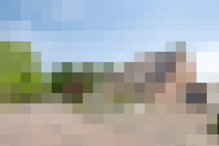 Weidemaad 126 Oosterwolde thumbnail 23