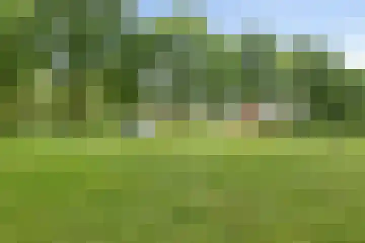 Weidemaad 126 Oosterwolde thumbnail 24