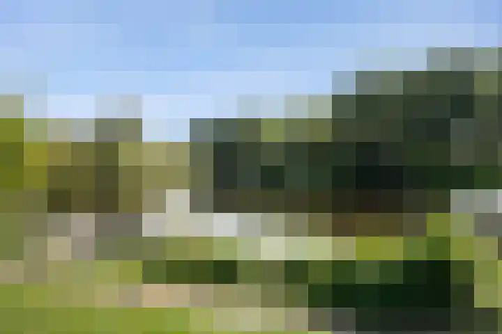 Weidemaad 126 Oosterwolde thumbnail 25
