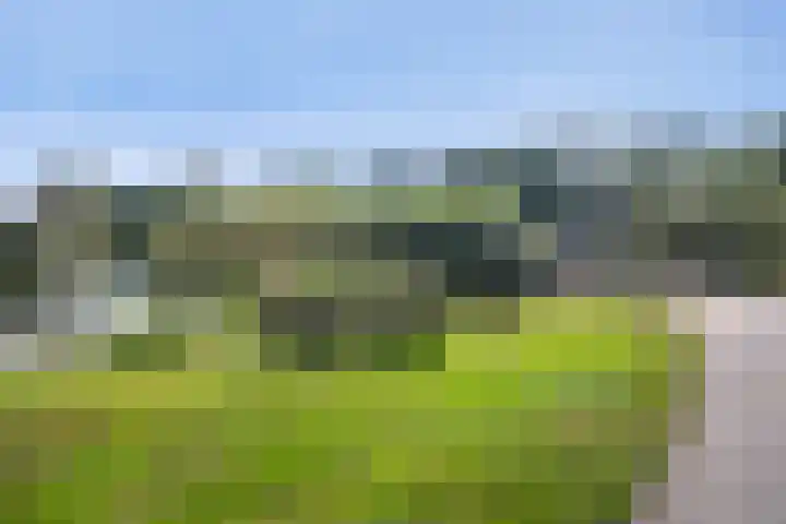 Weidemaad 126 Oosterwolde thumbnail 26