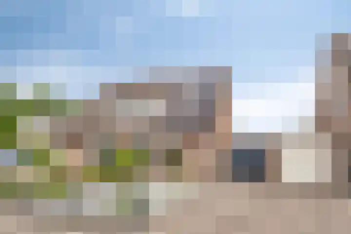 Weidemaad 126 Oosterwolde thumbnail 31