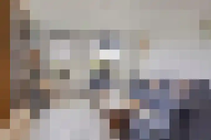 Weidemaad 126 Oosterwolde thumbnail 4