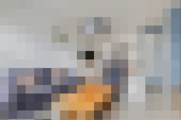 Weidemaad 126 Oosterwolde thumbnail 5