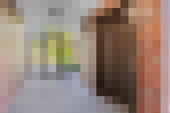 Weidemaad 150 Oosterwolde thumbnail 11