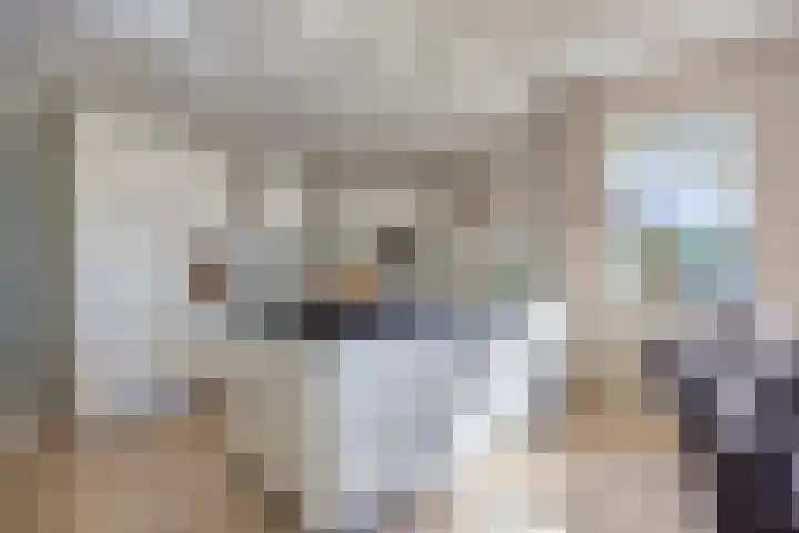 Weidemaad 150 Oosterwolde thumbnail 23
