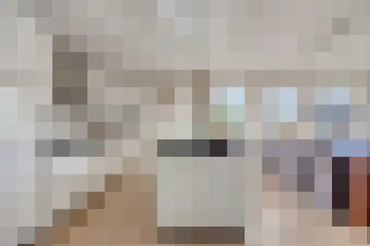 Weidemaad 150 Oosterwolde thumbnail 24