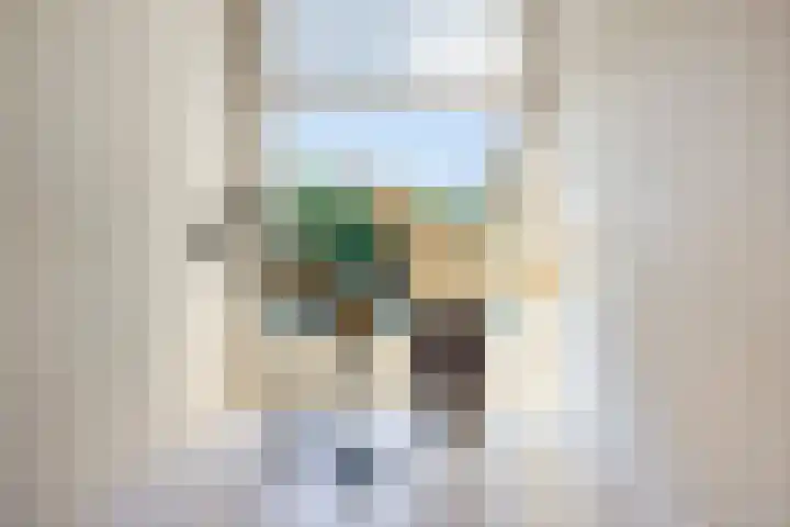 Weidemaad 150 Oosterwolde thumbnail 25