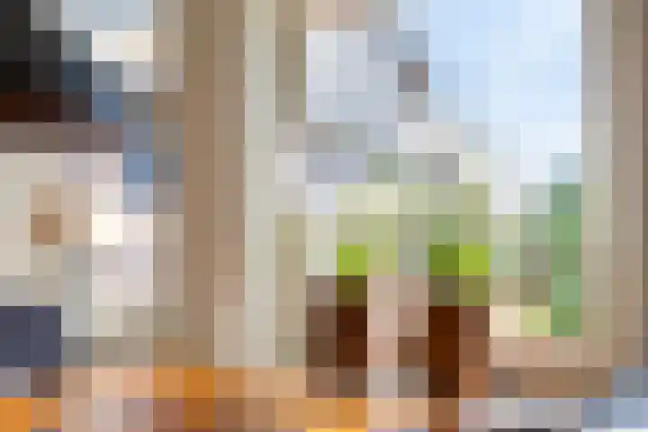 Weidemaad 150 Oosterwolde thumbnail 26