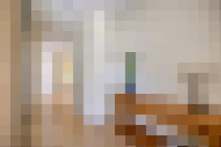 Weidemaad 150 Oosterwolde thumbnail 30