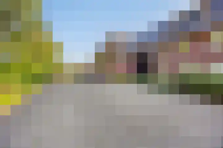 Weidemaad 150 Oosterwolde thumbnail 35