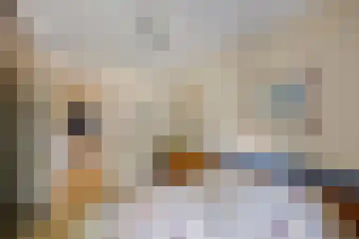Weidemaad 150 Oosterwolde thumbnail 4