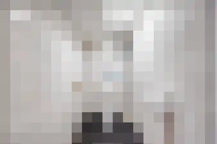 Weidemaad 150 Oosterwolde thumbnail 42