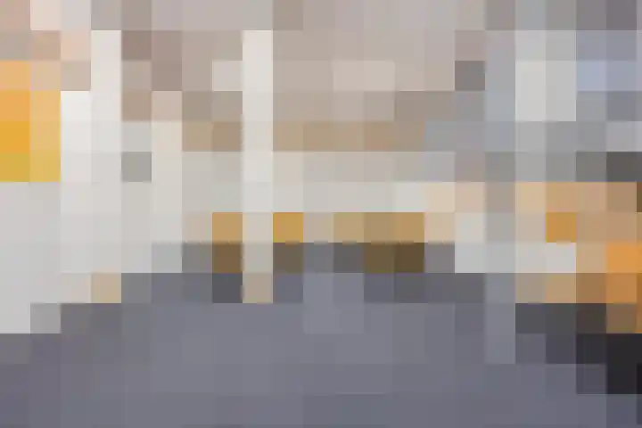 Weidemaad 150 Oosterwolde thumbnail 43