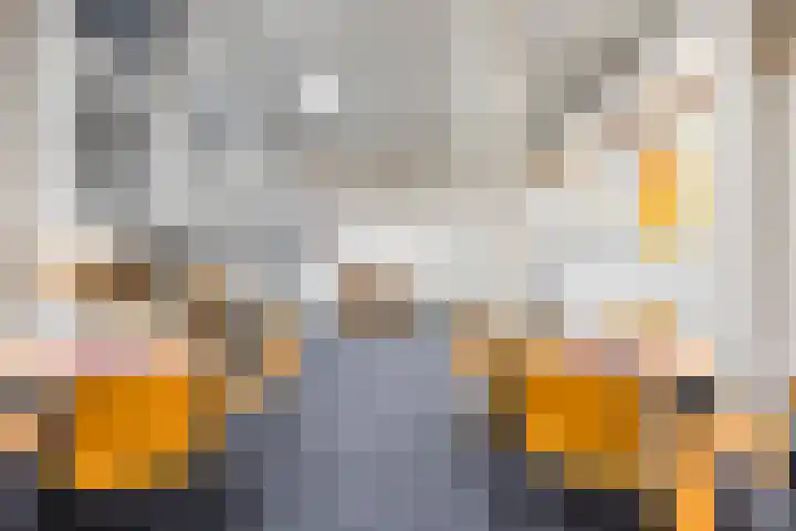 Weidemaad 150 Oosterwolde thumbnail 44
