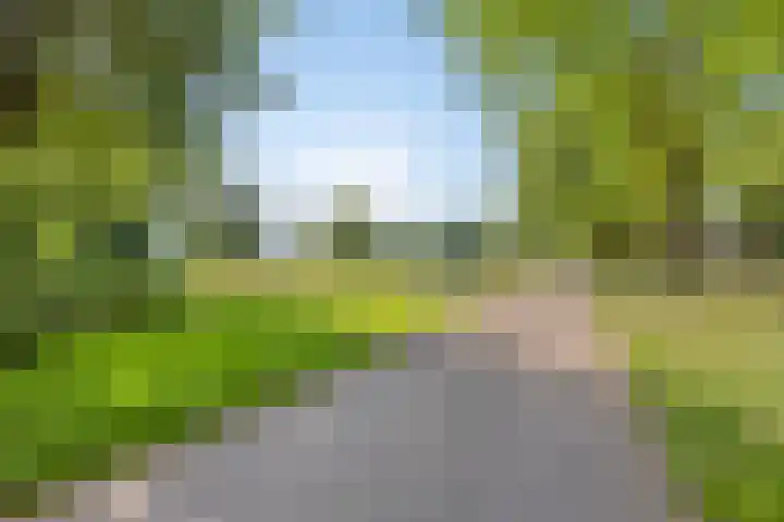 Weidemaad 150 Oosterwolde thumbnail 45