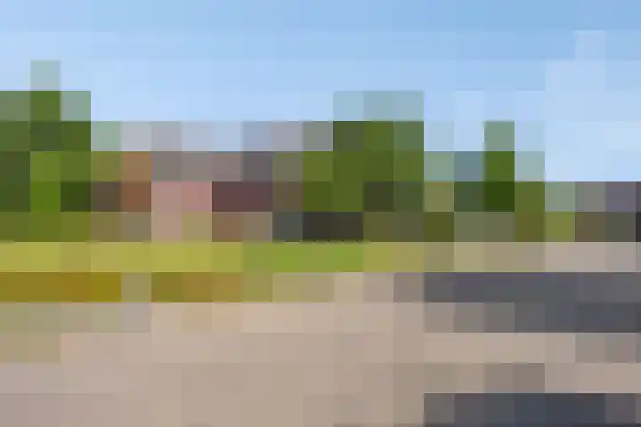 Weidemaad 150 Oosterwolde thumbnail 49