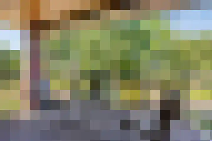 Weidemaad 150 Oosterwolde thumbnail 5