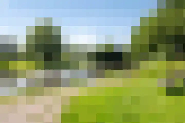 Weidemaad 150 Oosterwolde thumbnail 6