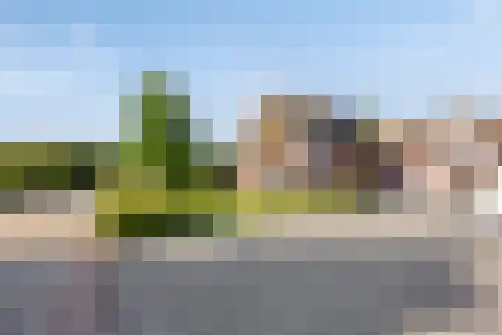 Weidemaad 150 Oosterwolde thumbnail 7