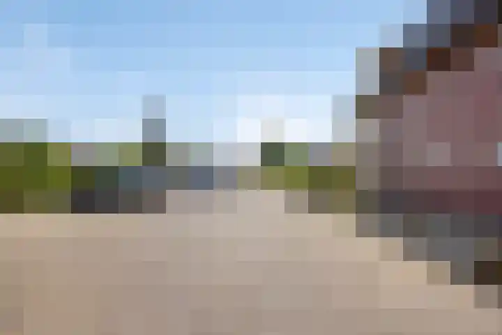 Weidemaad 150 Oosterwolde thumbnail 8